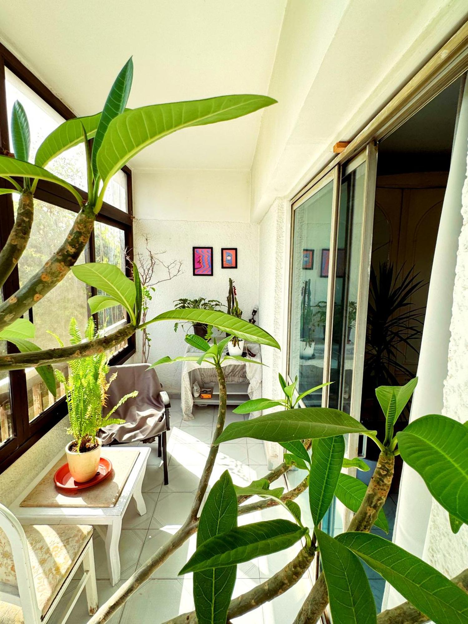 Large Room With Its Own Balcony Kairo Exterior foto